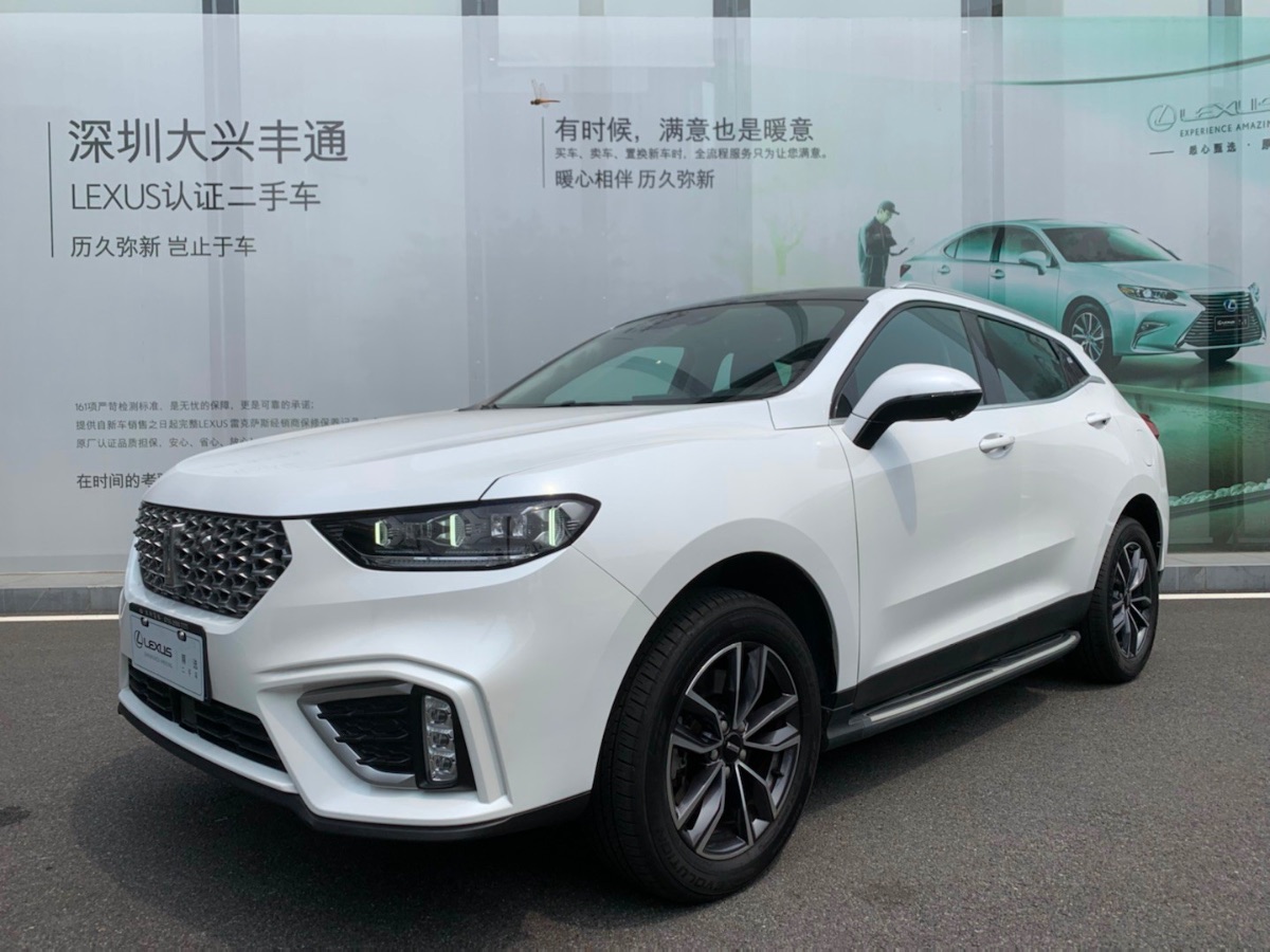 2020 WEY VV5 1.5T two-wheel drive intelligent pioneer 20,000 kilometers