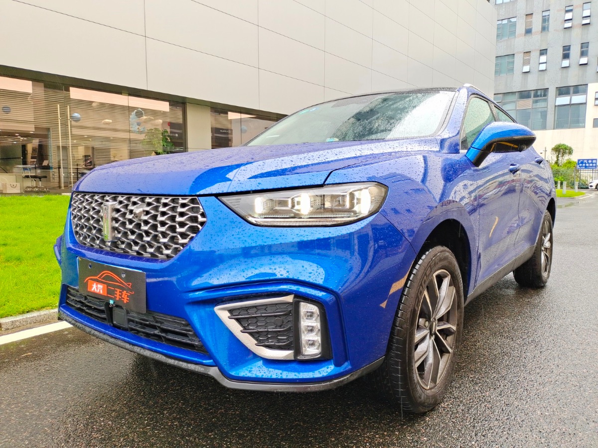 2020 WEY VV5 1.5T two-wheel drive smart pioneer 40,000 kilometers